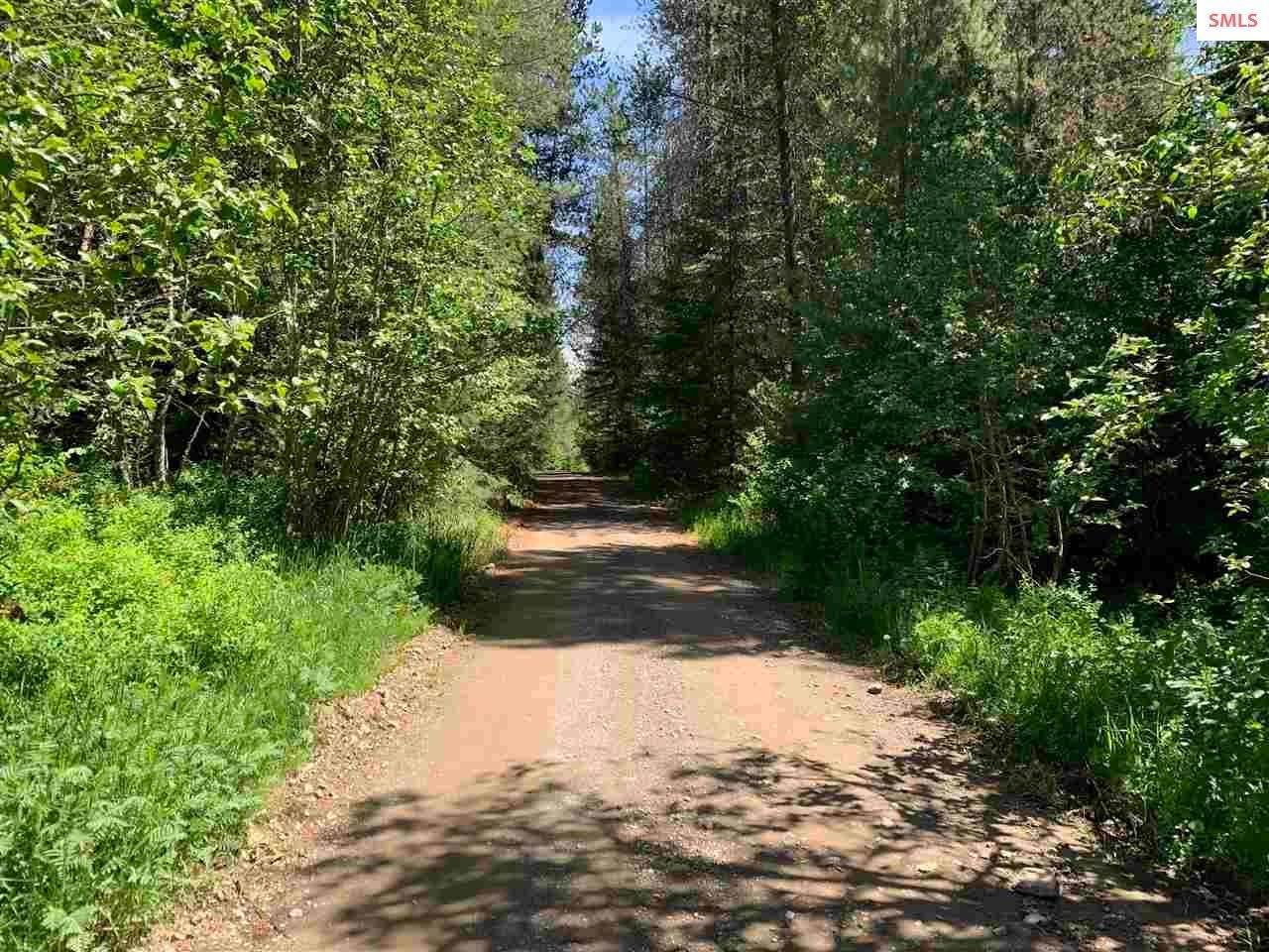 Land for Sale at NNA Pup Paw Trail Priest River, Idaho 83856 United States