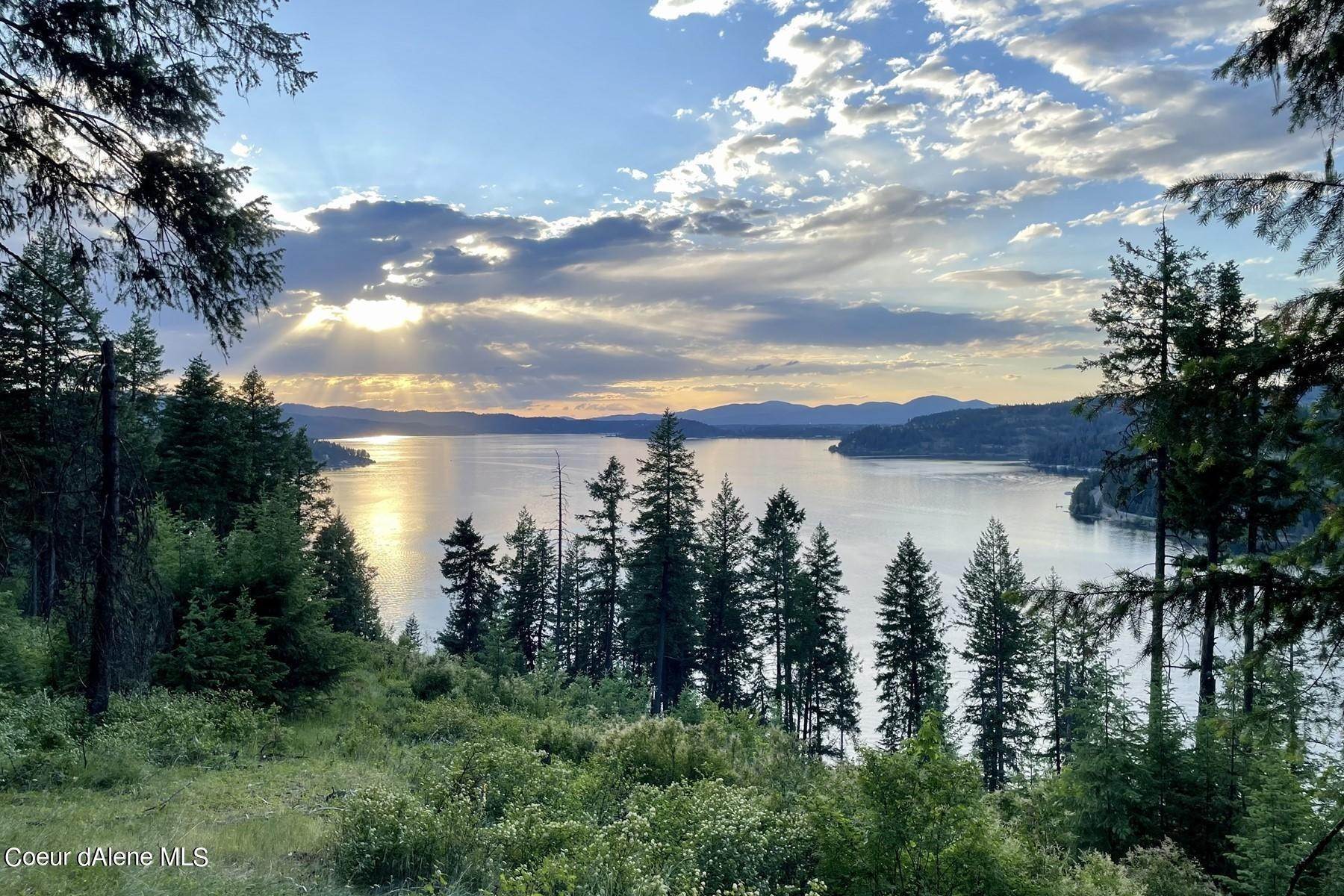 Land for Sale at Moscow Bay Road Harrison, Idaho 83833 United States