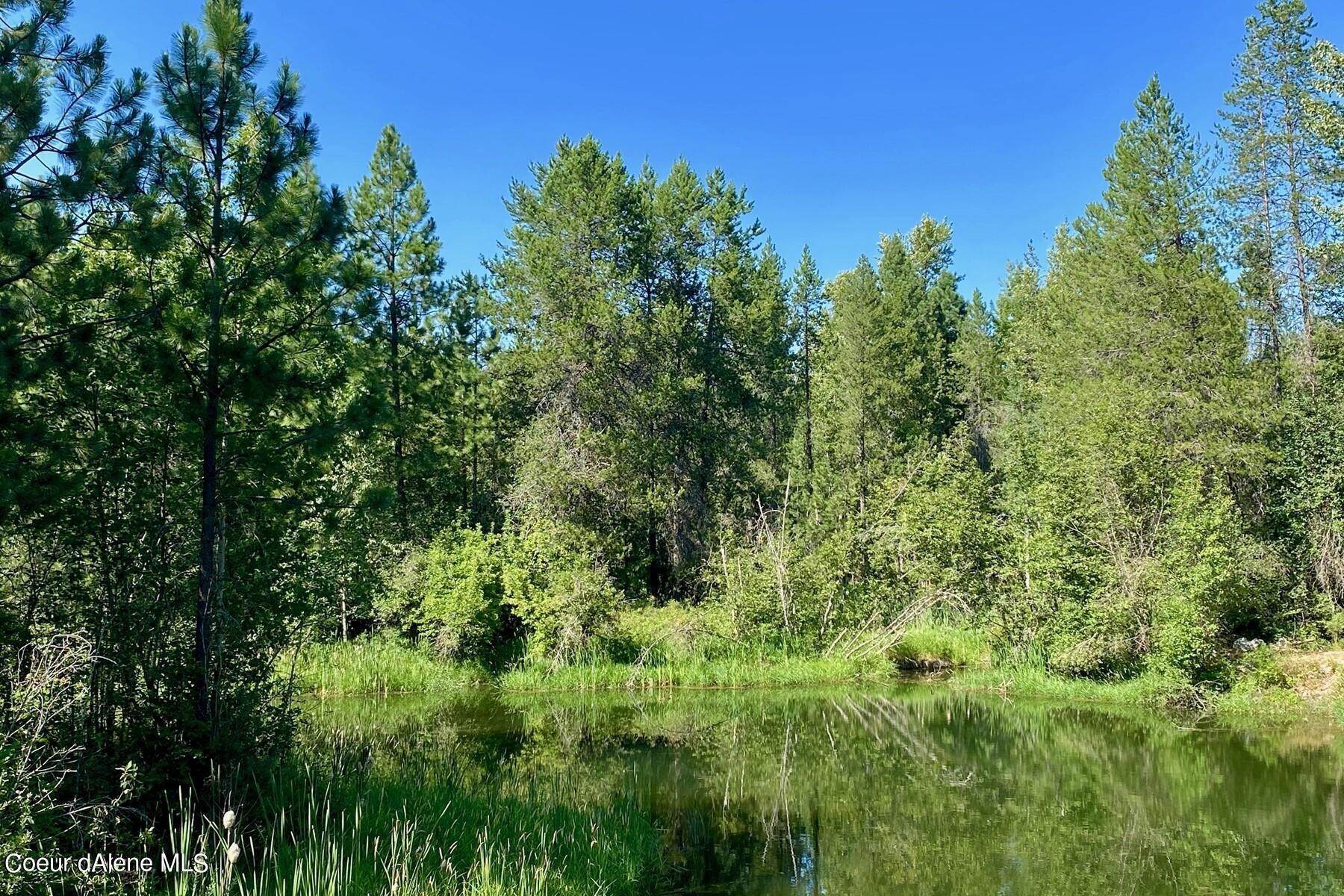 Land for Sale at L5B2A Dover Bay Estuary Forest Dover, Idaho 83825 United States