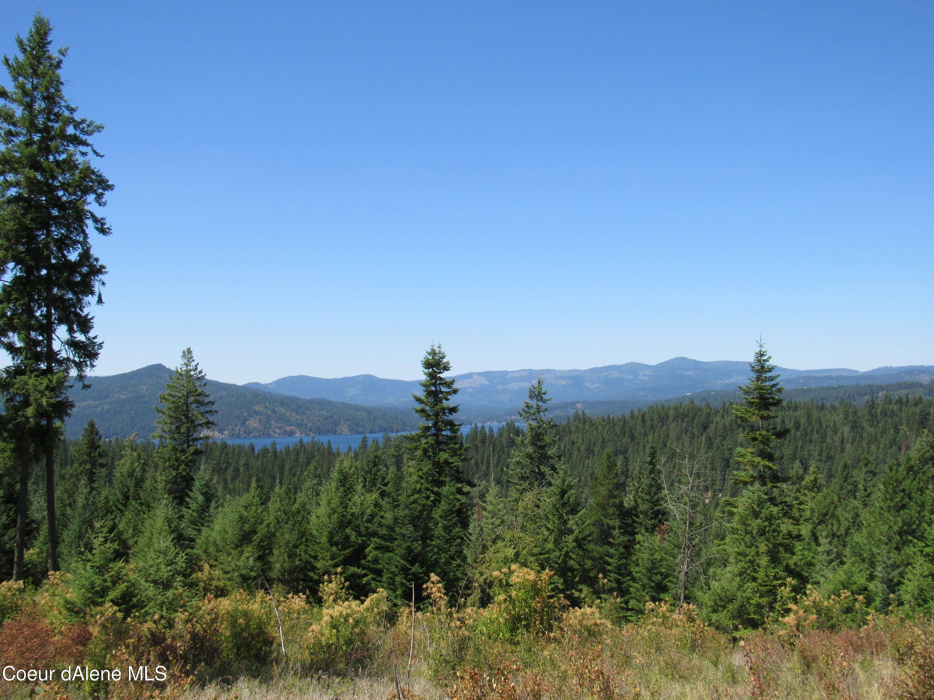 Land for Sale at Lot 139 S Buckrail Road Harrison, Idaho 83833 United States