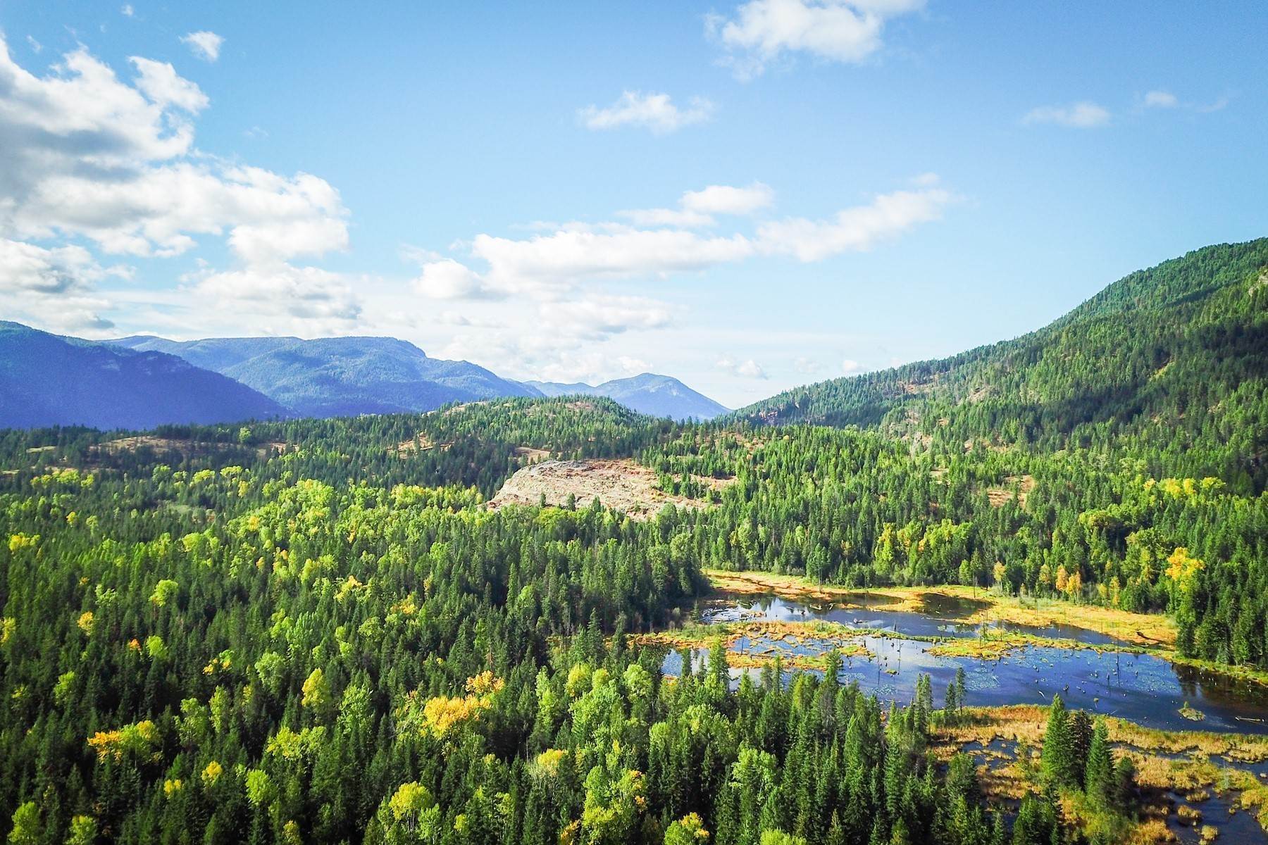 12. Land for Sale at 2755 Usfs Rd 2295 Clark Fork, Idaho 83811 United States
