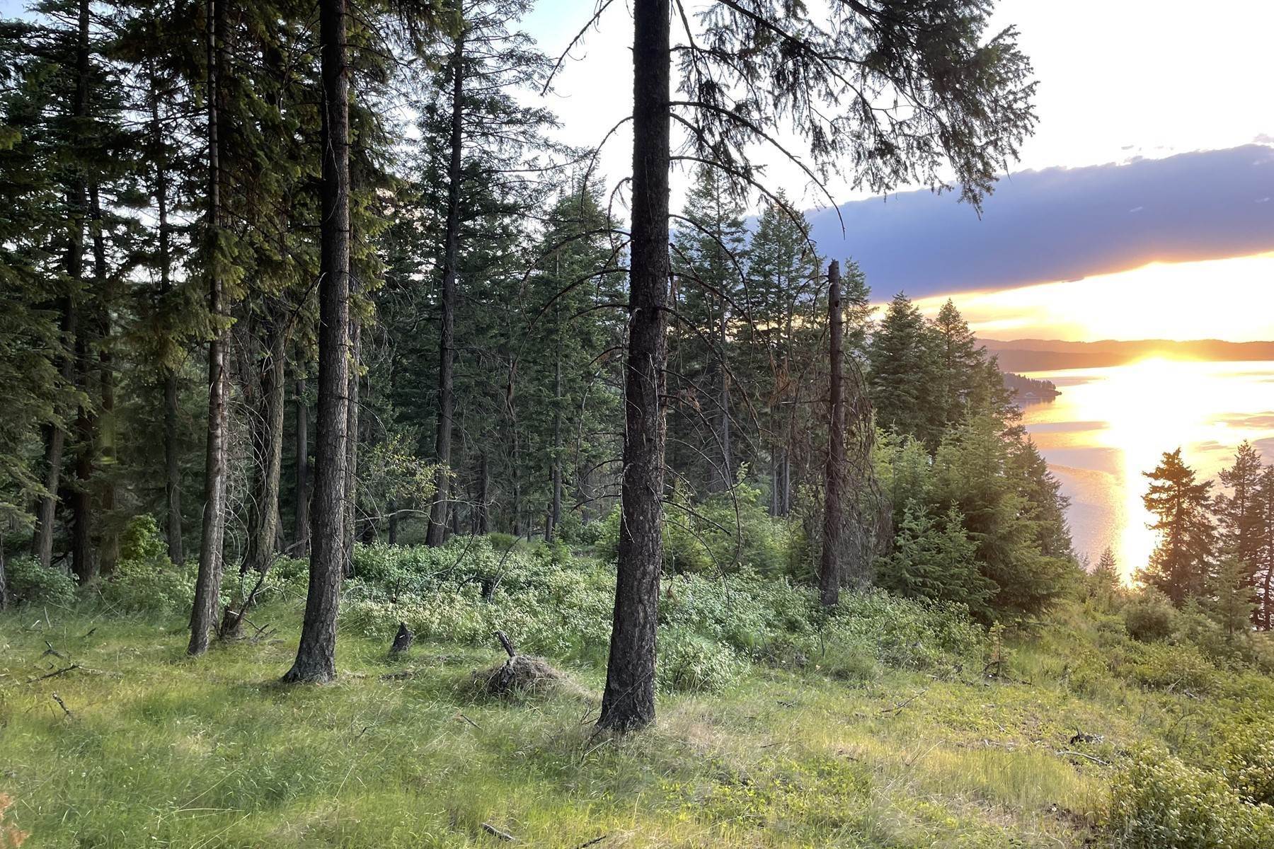 42. Land for Sale at NNA Moscow Bay NNA E Moscow Bay Rd Harrison, Idaho 83833 United States