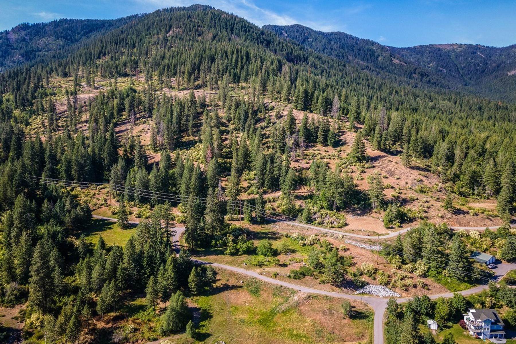 19. Land for Sale at Blk1 Lot2 Auxor Road Blk1 Lot2 Auxor Rd Hope, Idaho 83836 United States