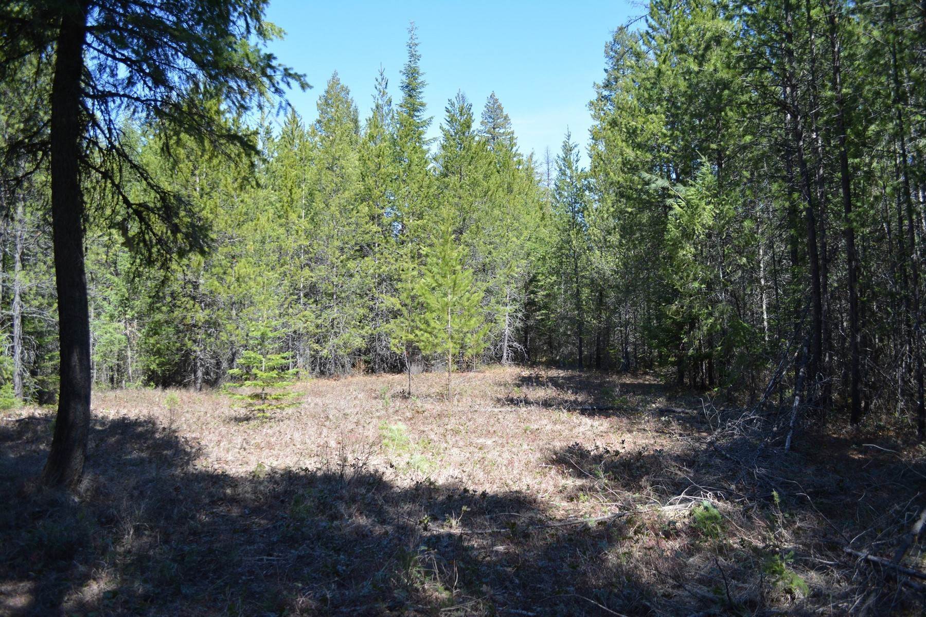 11. Land for Sale at Lot 8 Graham Ave Priest River, Idaho 83856 United States
