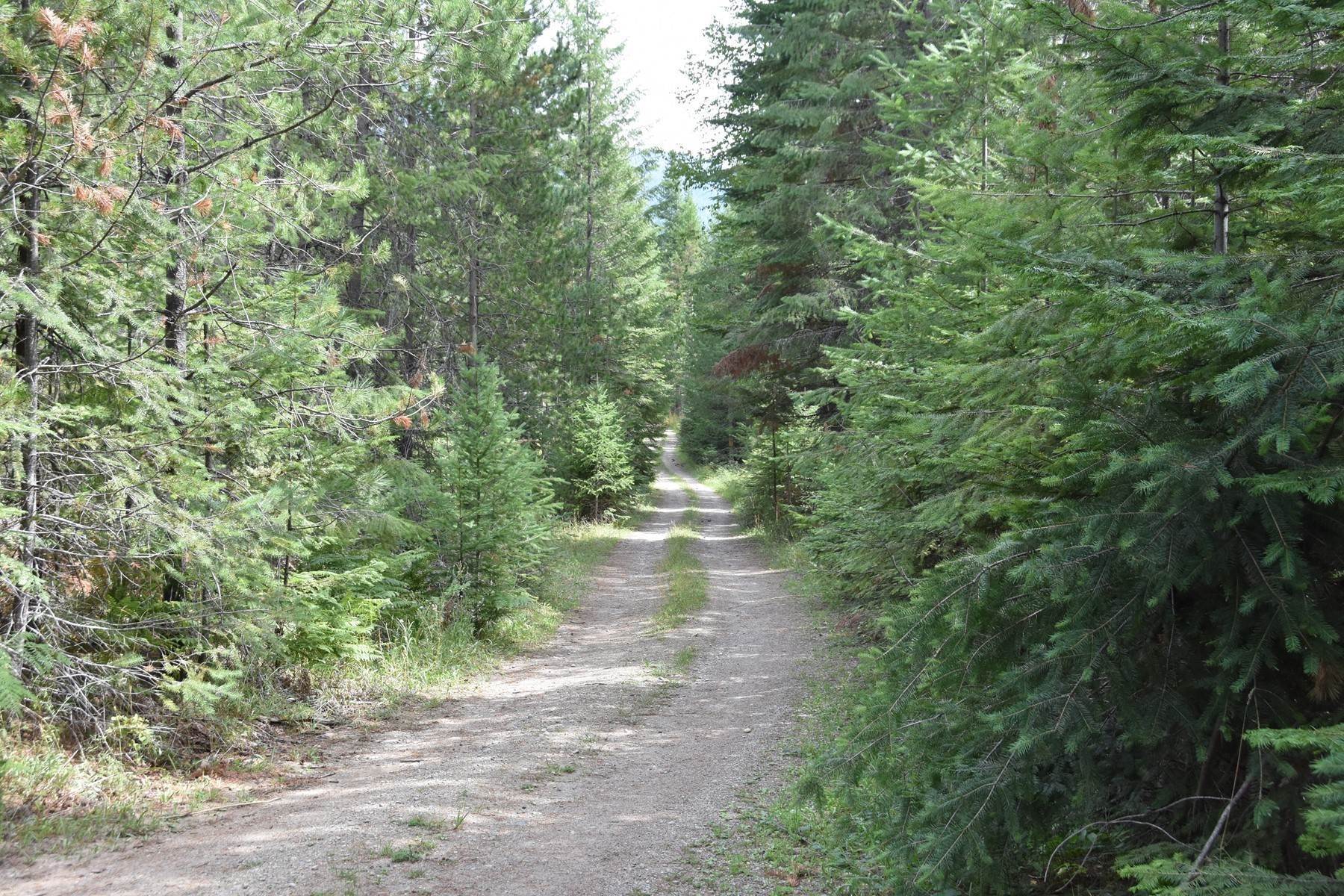 16. Land for Sale at Off Grid Clark Fork Acreage 2755 Usfs Rd 2295 Clark Fork, Idaho 83811 United States