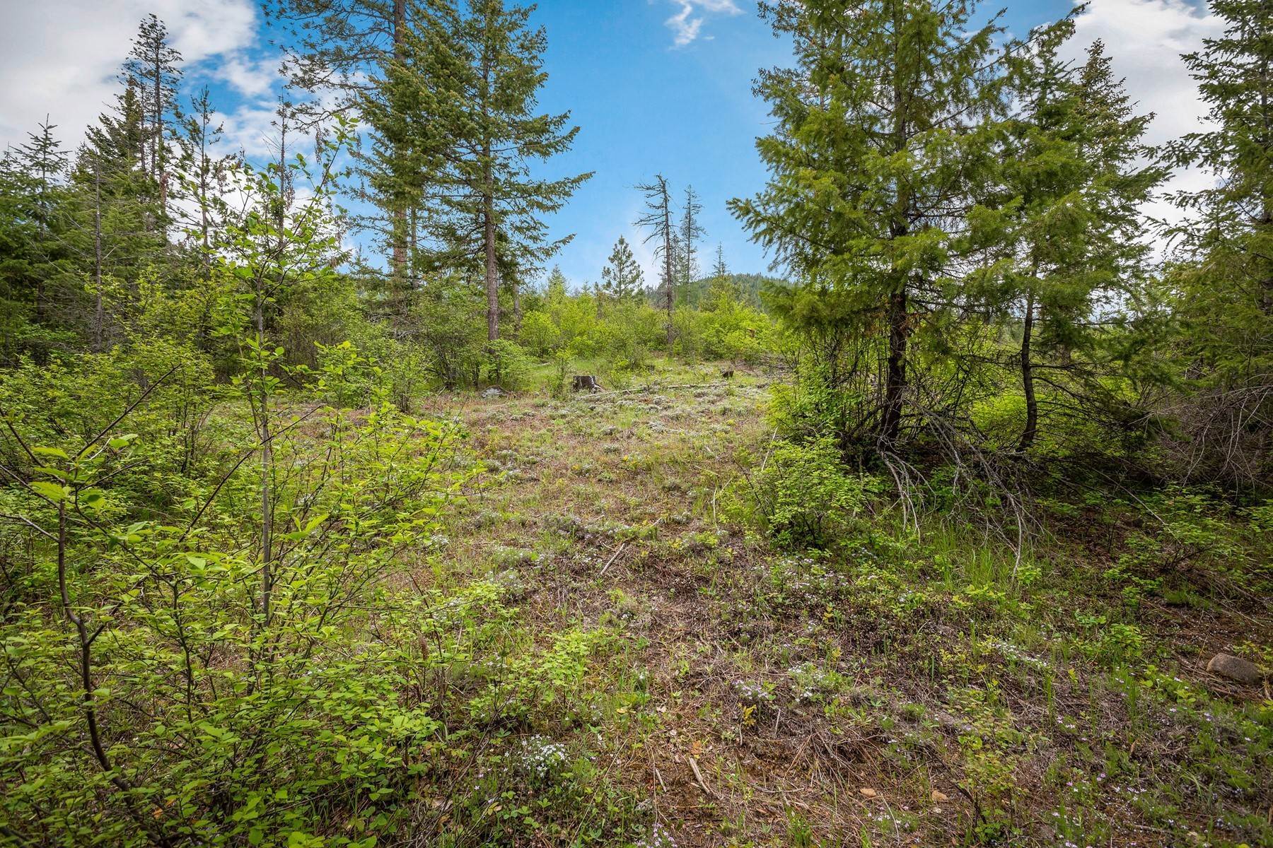25. Land for Sale at Pend Oreille River Views 5 Acres Creek 1000 Morning Star Mtn Rd Priest River, Idaho 83856 United States