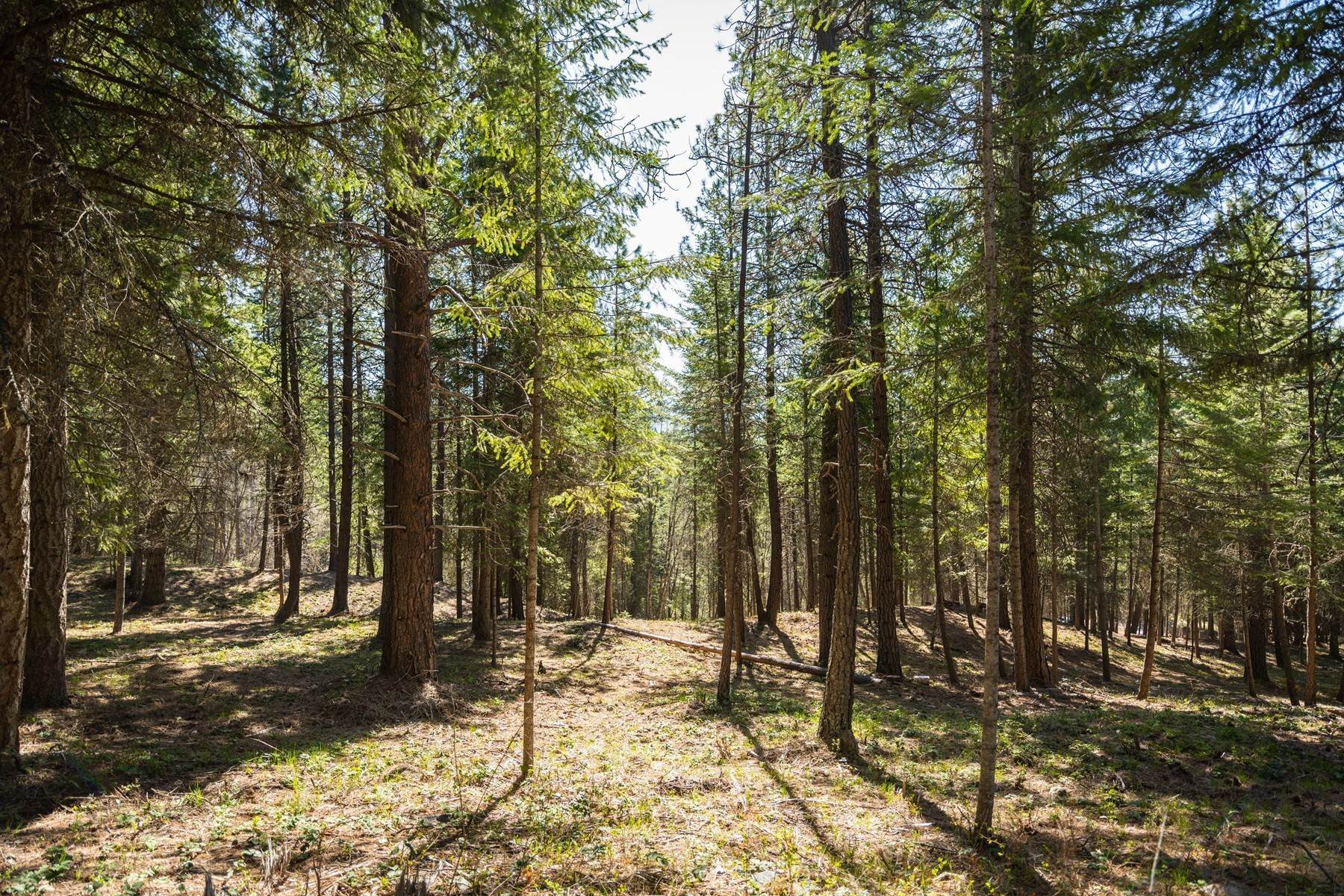 8. Land for Sale at Gold Mountain Acreage 79 Redtail Drive Sagle, Idaho 83860 United States