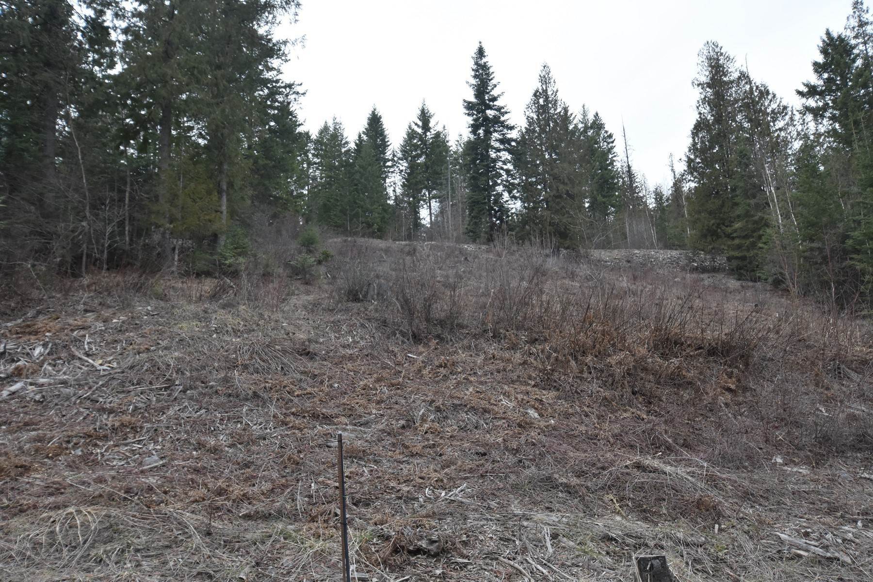 6. Land for Sale at NNA Lower Pack River Rd, Sandpoint, Idaho NNA Lower Pack River Rd Sandpoint, Idaho 83864 United States