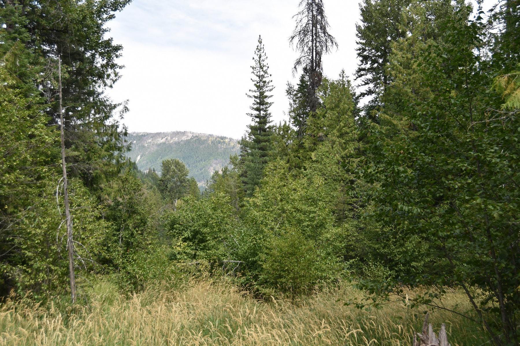 28. Land for Sale at Off Grid Clark Fork Acreage 2755 Usfs Rd 2295 Clark Fork, Idaho 83811 United States