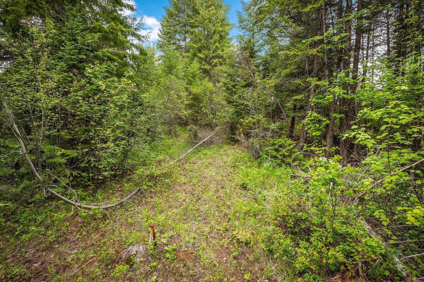 6. Land for Sale at Pend Oreille River Views 5 Acres Creek 1000 Morning Star Mtn Rd Priest River, Idaho 83856 United States