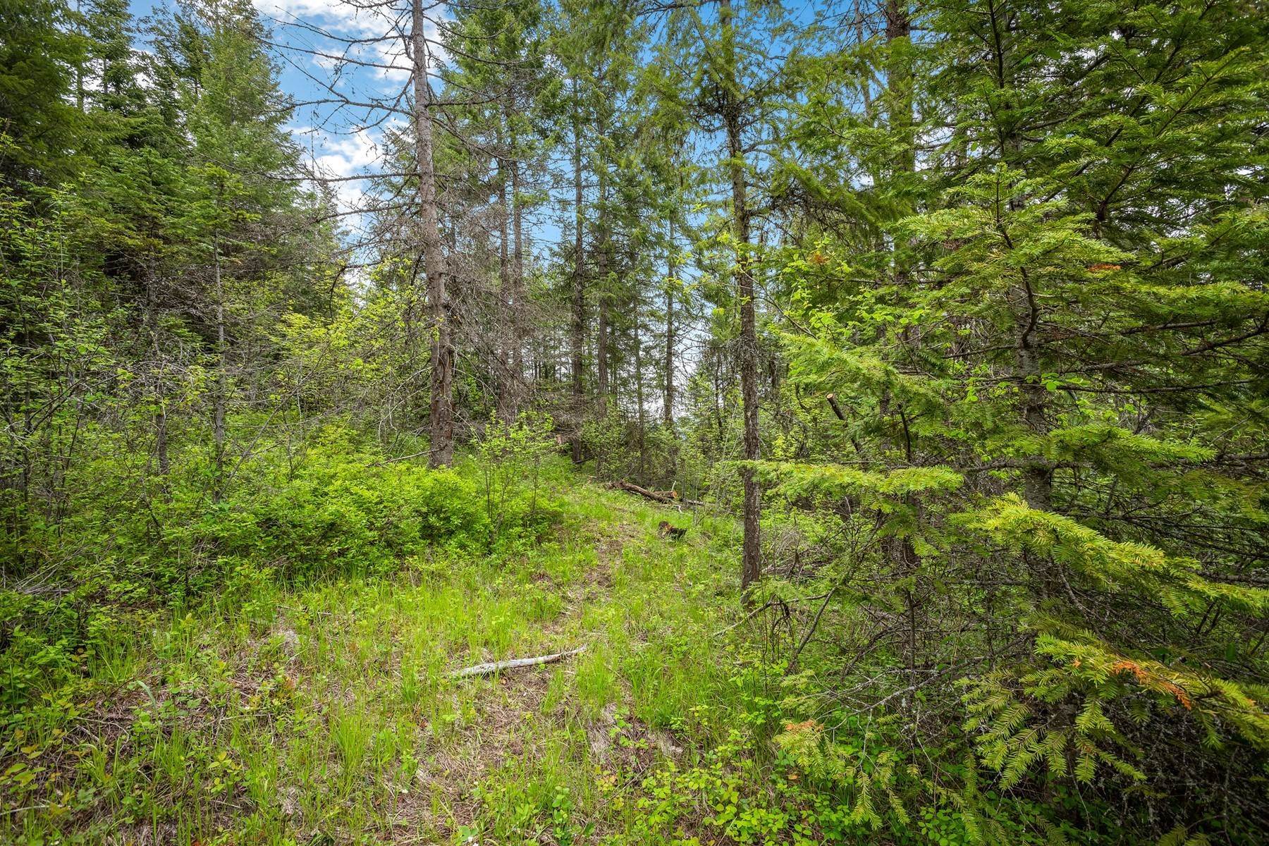 24. Land for Sale at Pend Oreille River Views 5 Acres Creek 1000 Morning Star Mtn Rd Priest River, Idaho 83856 United States