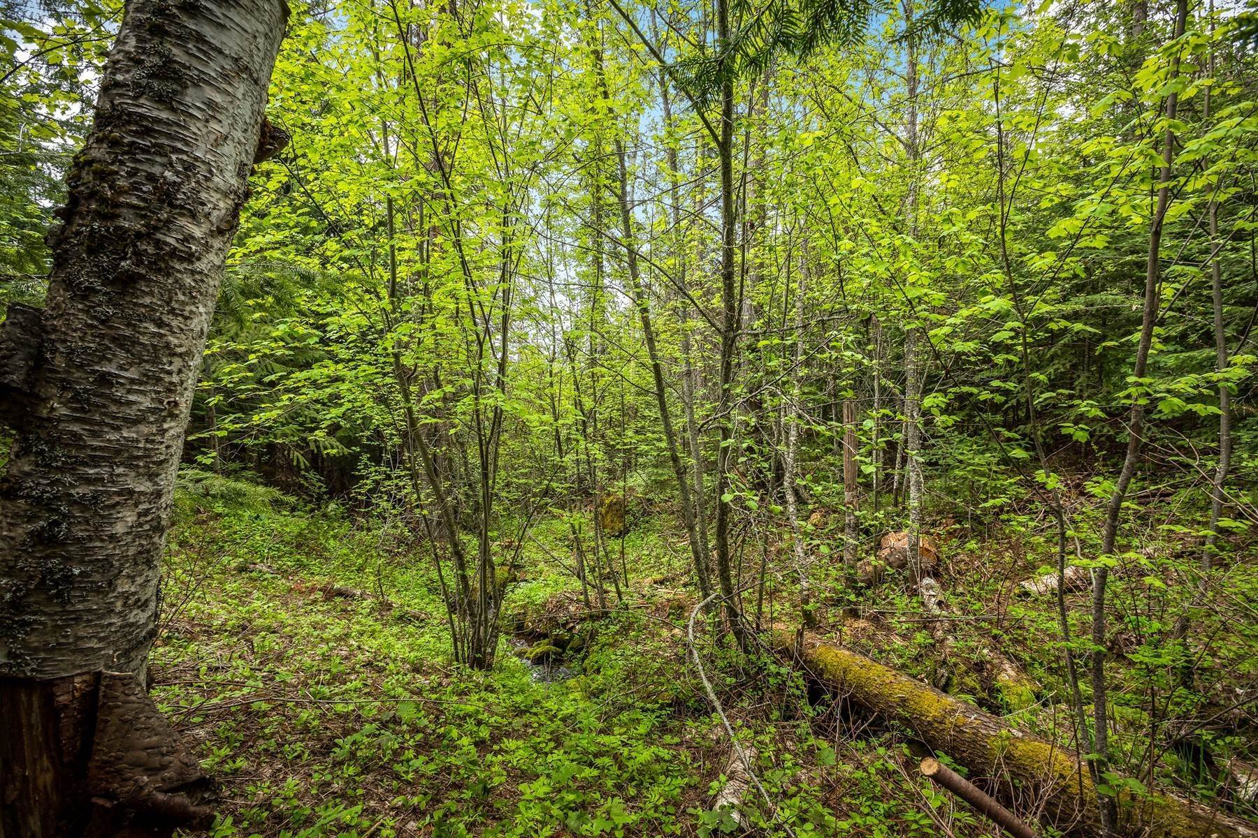 16. Land for Sale at Pend Oreille River Views 5 Acres Creek 1000 Morning Star Mtn Rd Priest River, Idaho 83856 United States
