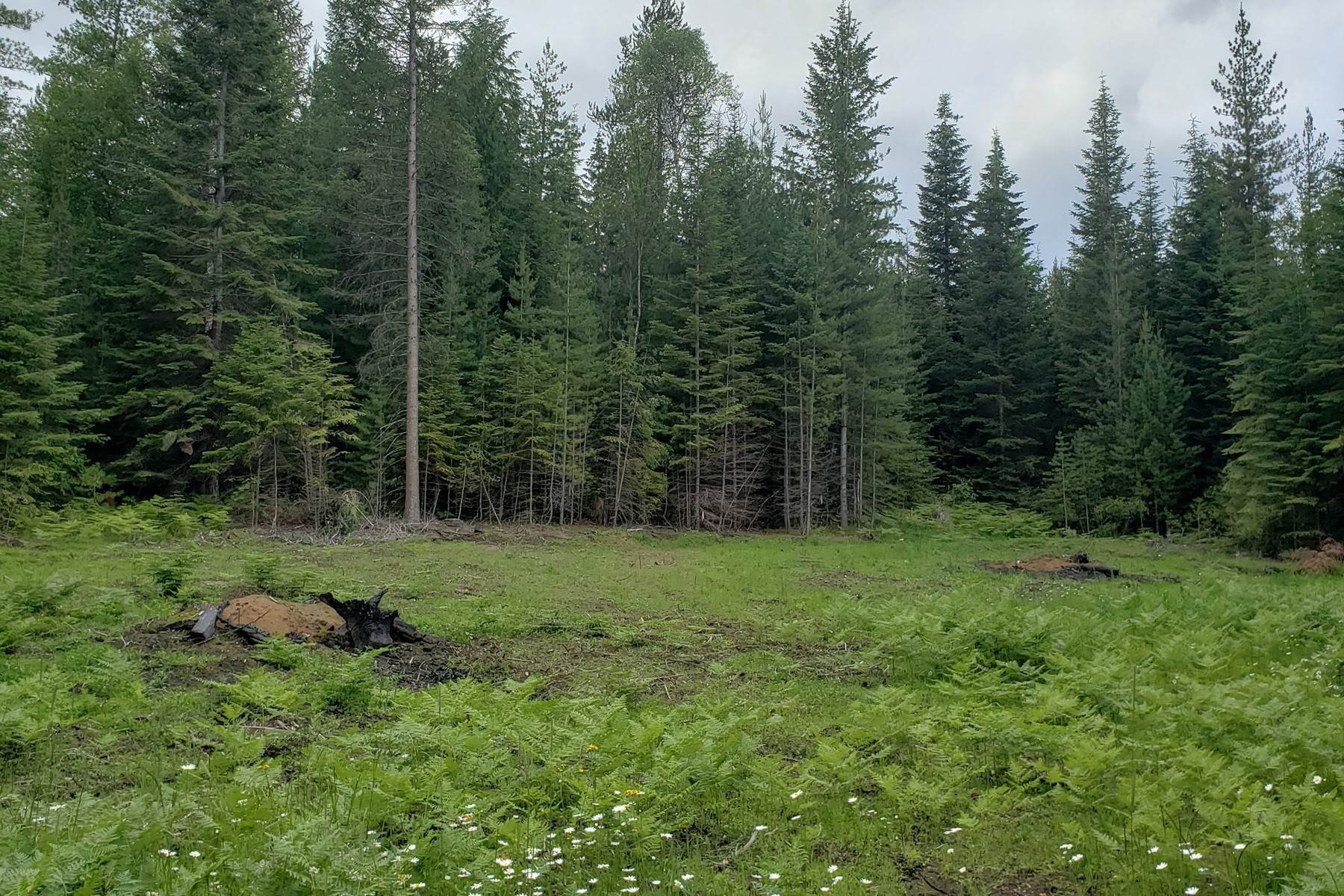 17. Land for Sale at 751 Beaver Pond Tr Priest River, Idaho 83856 United States