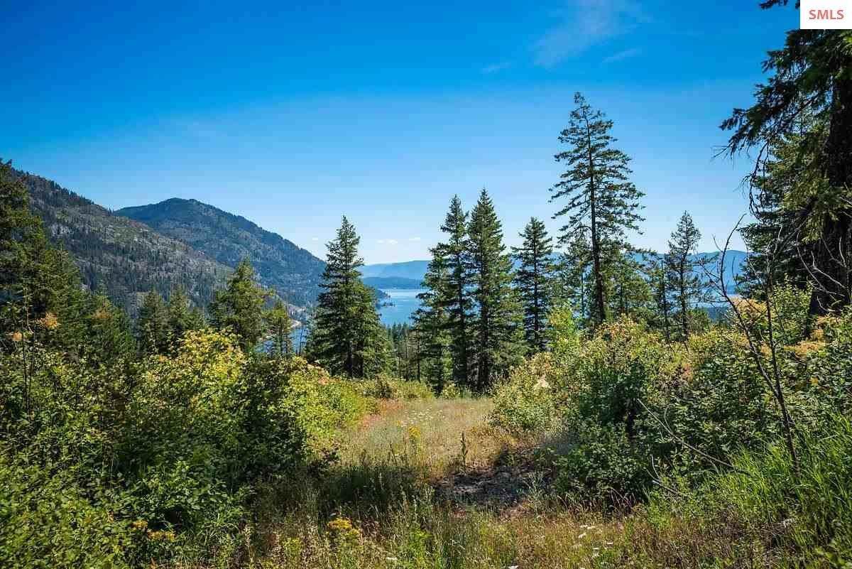 4. Land for Sale at Lot T1 Green Monarch Lane Sandpoint, Idaho 83864 United States