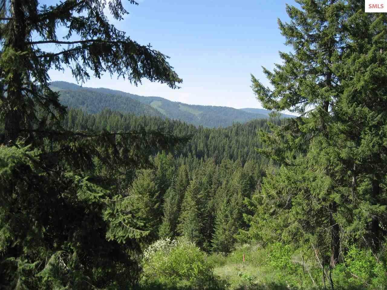 Land for Sale at NNA Bobsled Trail Coeur D Alene, Idaho 83814 United States