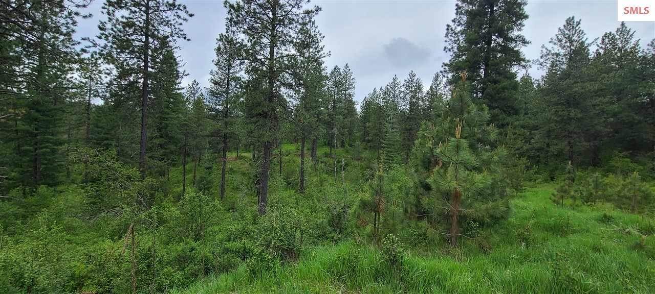 6. Land for Sale at NNA W Reality Loop Coeur D Alene, Idaho 83814 United States