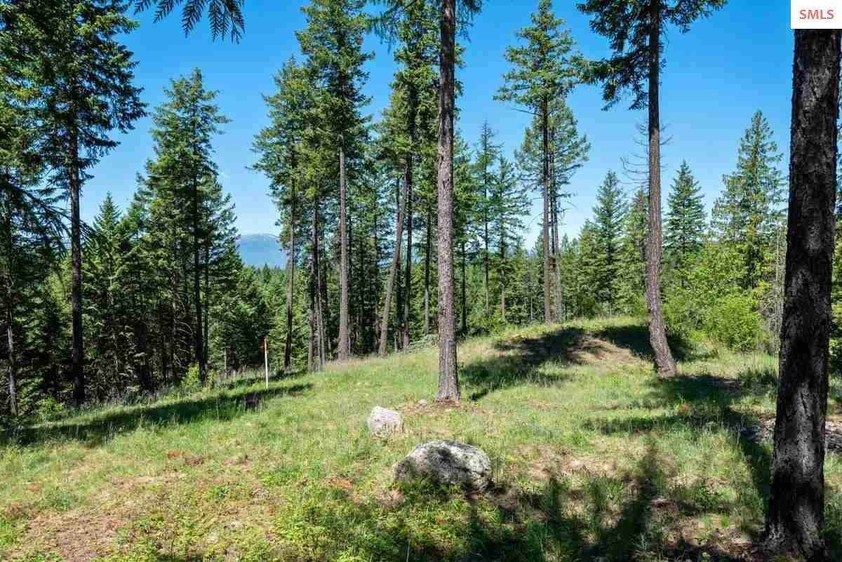 Land for Sale at NNA B9 Wildflower Way Sandpoint, Idaho 83864 United States