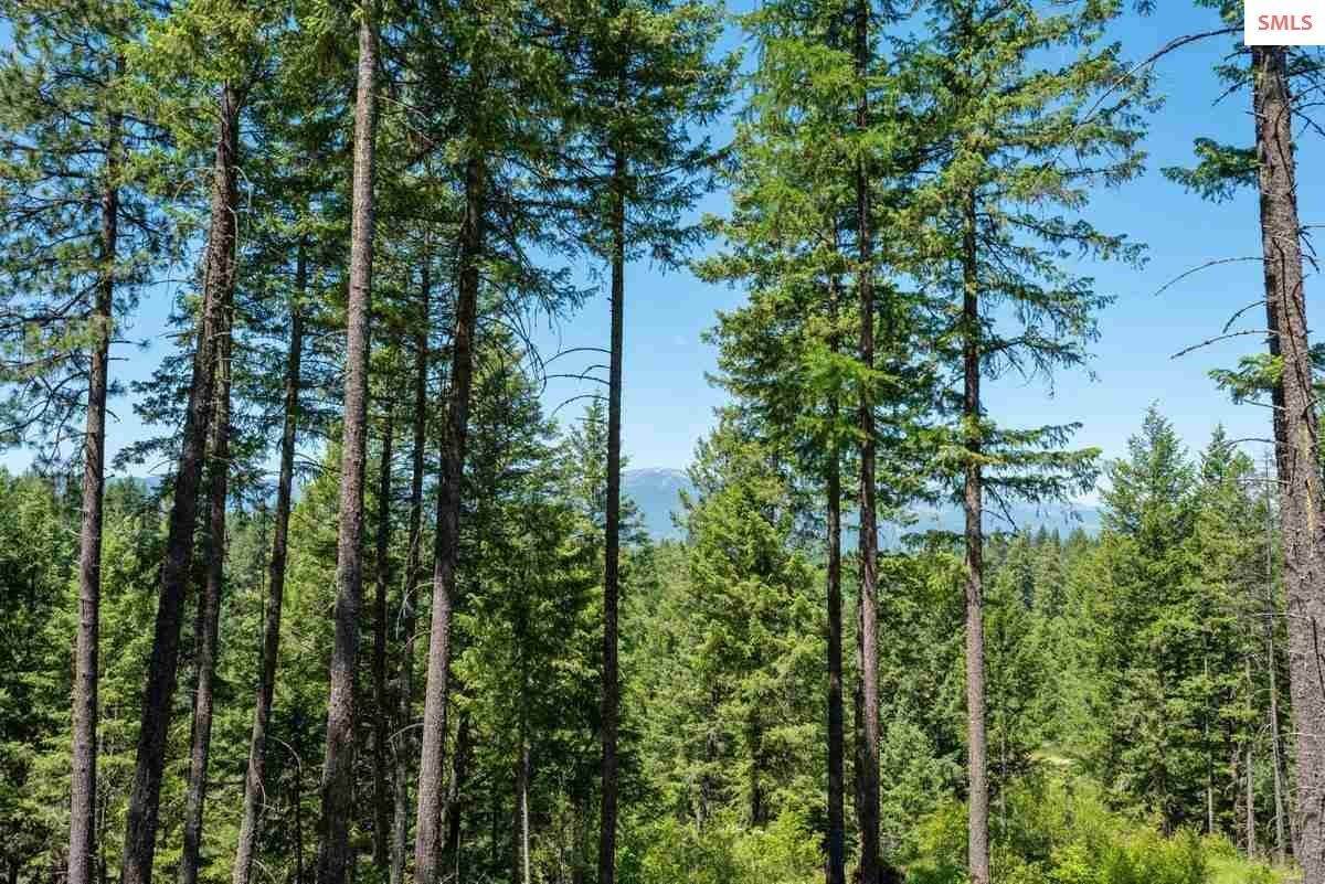 9. Land for Sale at NNA B9 Wildflower Way Sandpoint, Idaho 83864 United States