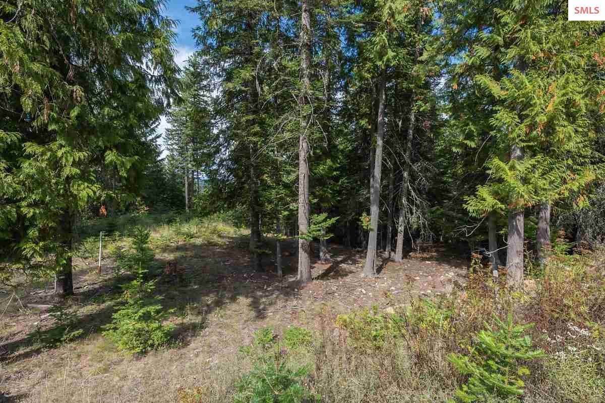 3. Land for Sale at NNA White Cloud Drive C33 Sandpoint, Idaho 83864 United States