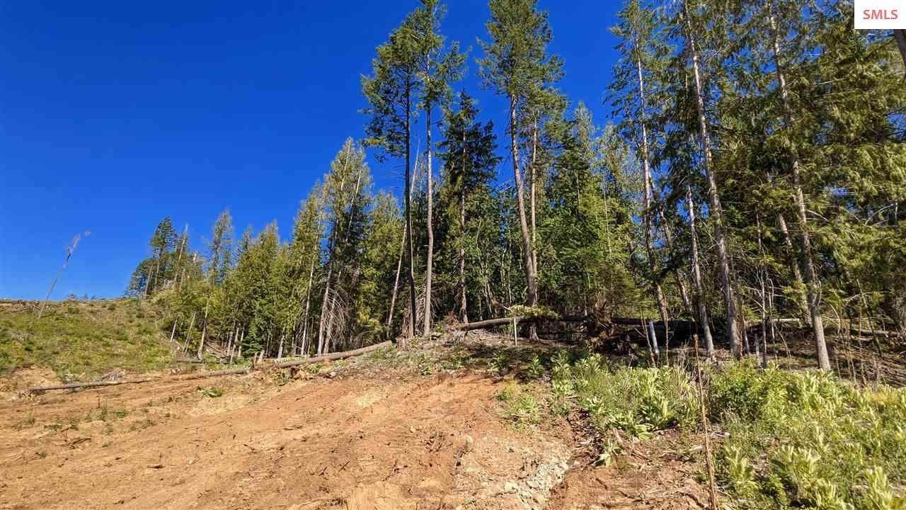 15. Land for Sale at NNA E Snake Lane - Lot 4 Galt's Gulch Sandpoint, Idaho 83864 United States