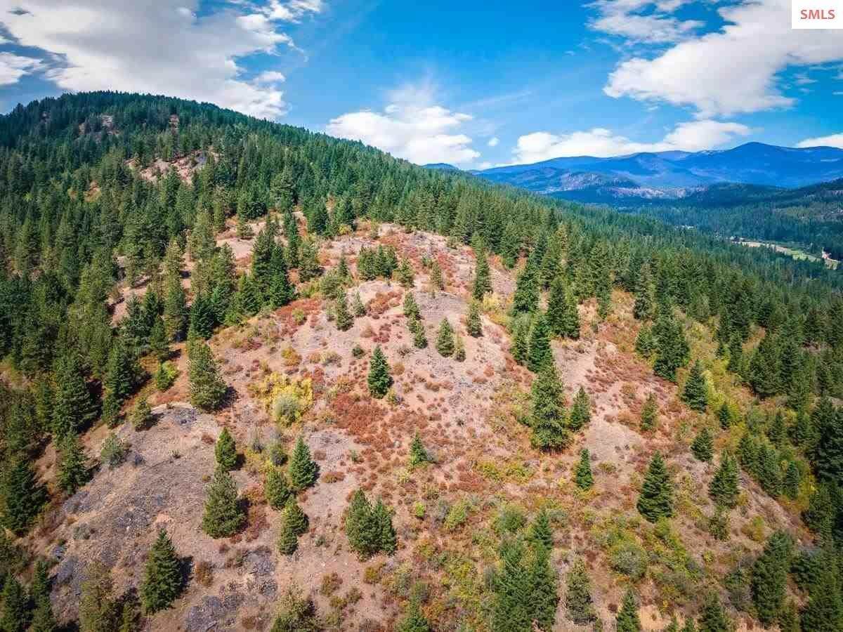 3. Land for Sale at NKA Manley Creek Road Priest River, Idaho 83856 United States