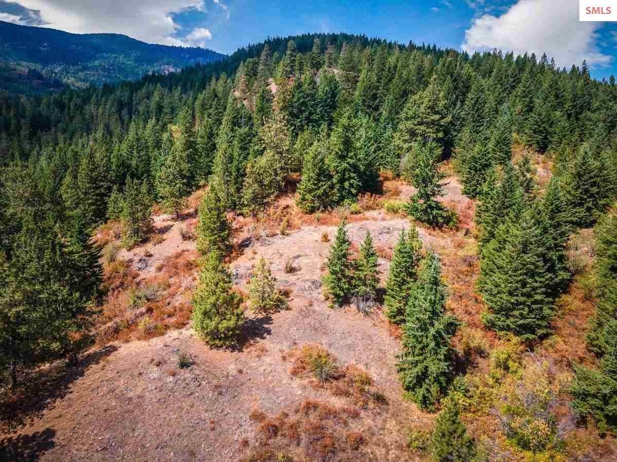 6. Land for Sale at NKA Manley Creek Road Priest River, Idaho 83856 United States