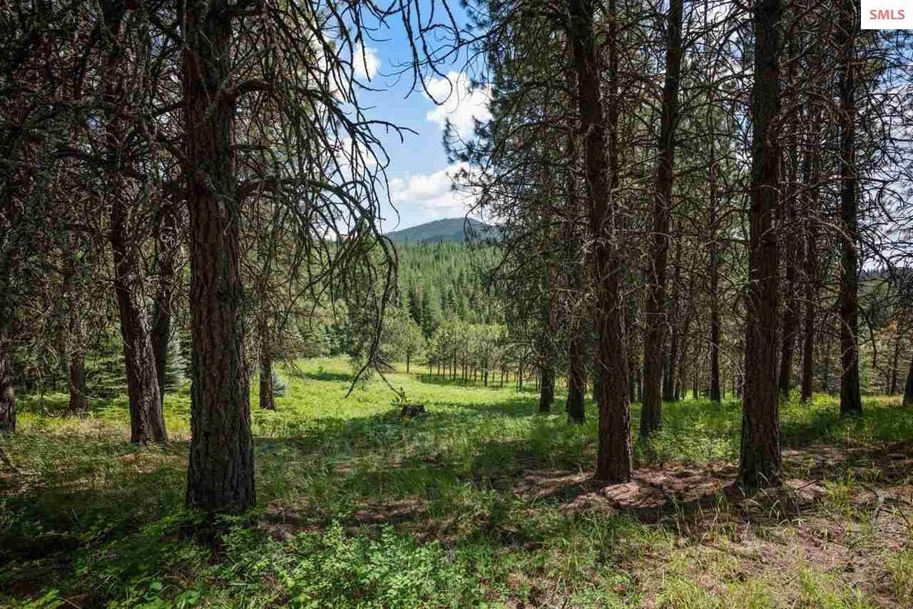 37. Single Family Homes for Sale at 487 Fox Creek Spur Priest River, Idaho 83856 United States