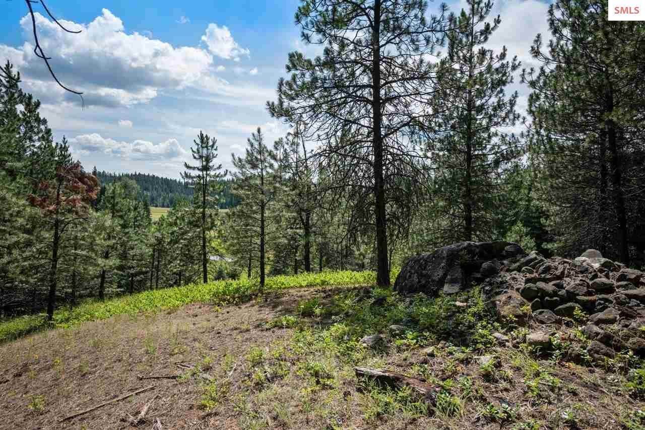 38. Single Family Homes for Sale at 487 Fox Creek Spur Priest River, Idaho 83856 United States