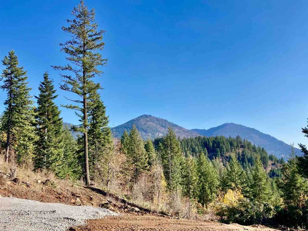 3. Land for Sale at Lot D12 White Cloud Drive Sandpoint, Idaho 83864 United States
