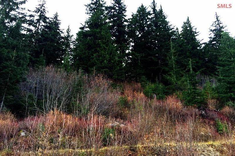 7. Land for Sale at NNA Blizzard BLK 6 Lot 16 Sandpoint, Idaho 83864 United States