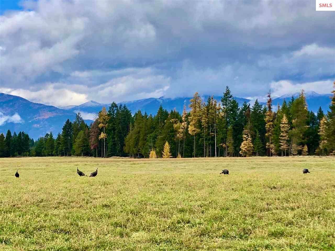 8. Land for Sale at Lot 8H Nuthatch Lane Moyie Springs, Idaho 83845 United States