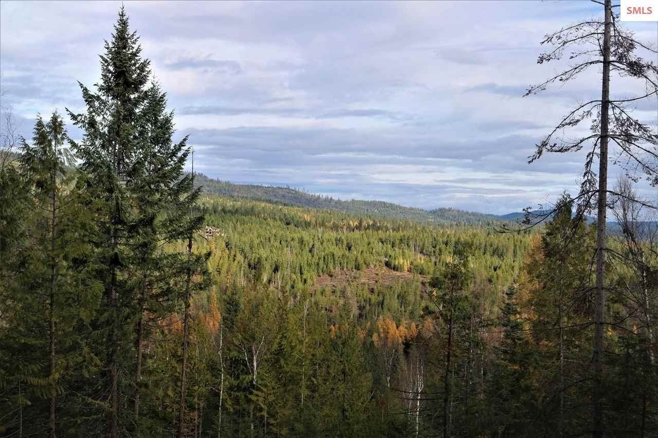 19. Land for Sale at 220 Hawkwind Trail Cocolalla, Idaho 83813 United States