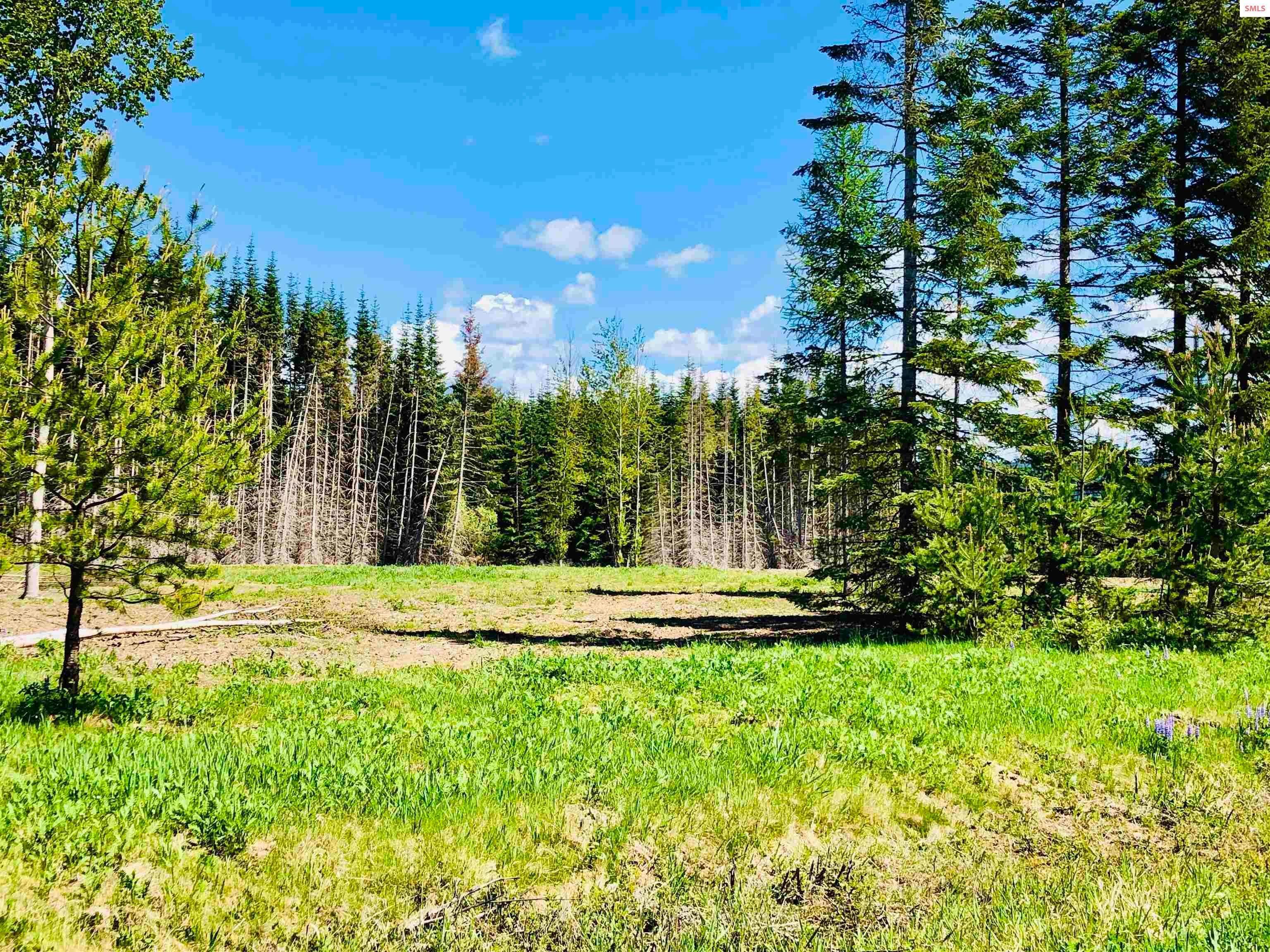 14. Land for Sale at Lot 5 Missing Pony Court Sandpoint, Idaho 83864 United States