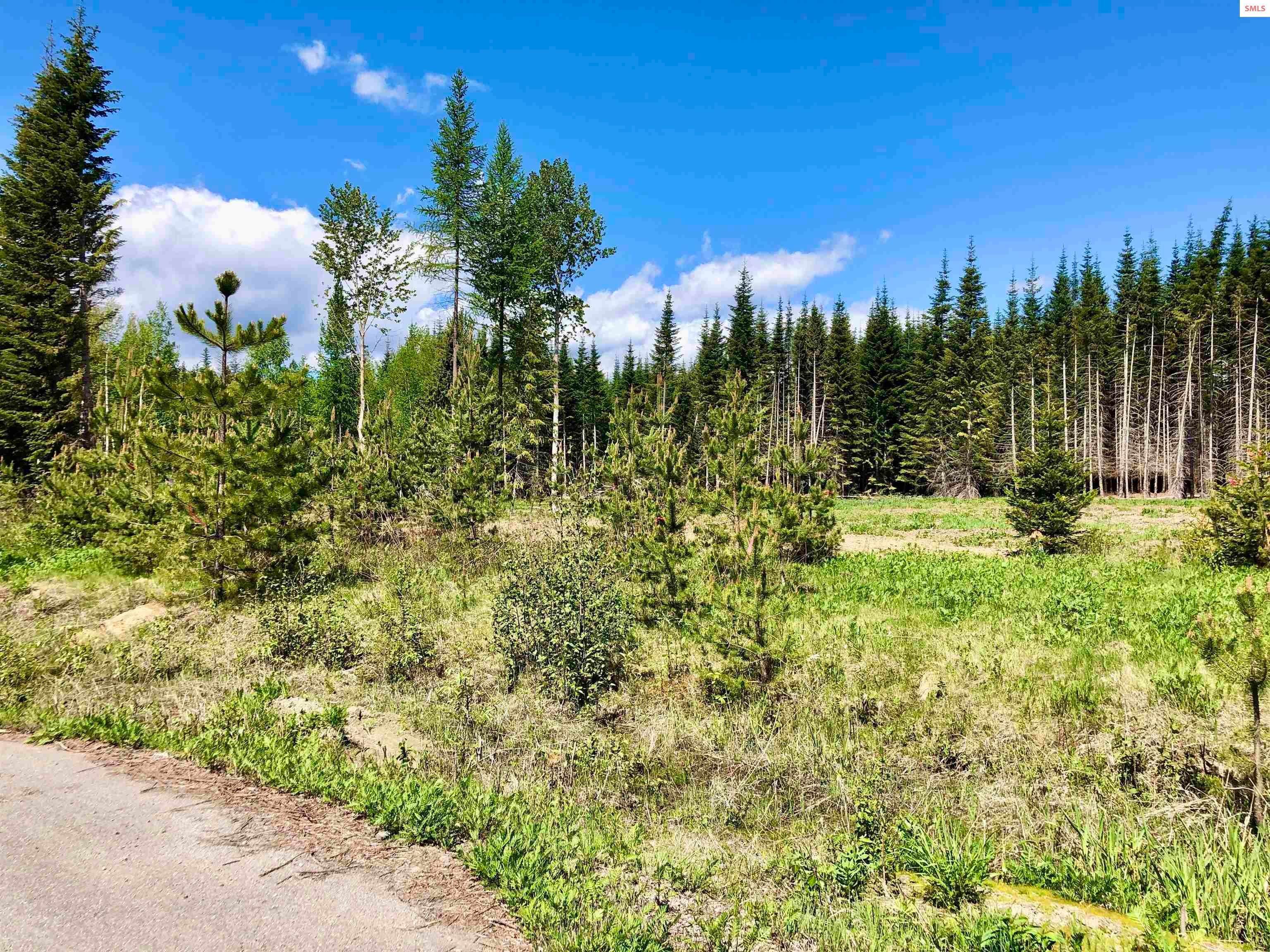 20. Land for Sale at Lot 5 Missing Pony Court Sandpoint, Idaho 83864 United States