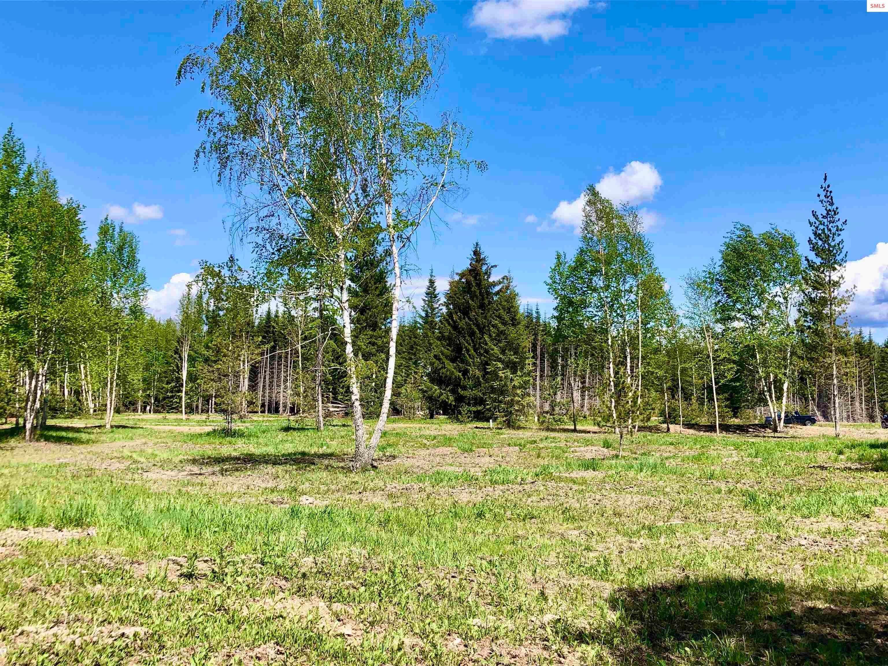6. Land for Sale at Lot 5 Missing Pony Court Sandpoint, Idaho 83864 United States