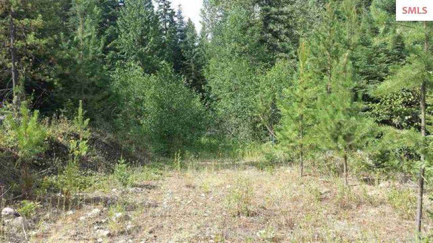 6. Land for Sale at nna Upper Gold Creek Road Sandpoint, Idaho 83864 United States