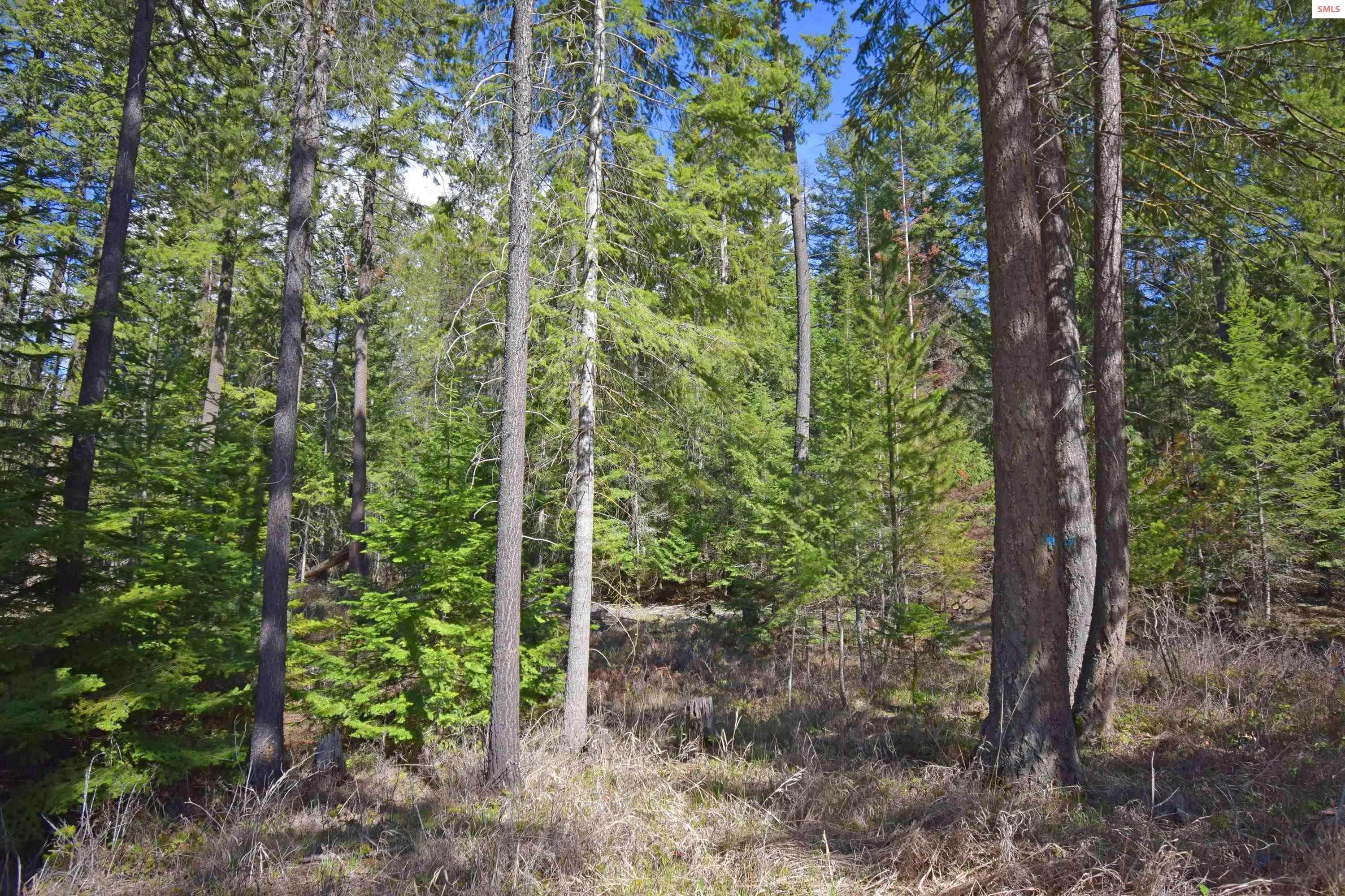 4. Land for Sale at NNA Shady Glade Road Bonners Ferry, Idaho 83805 United States