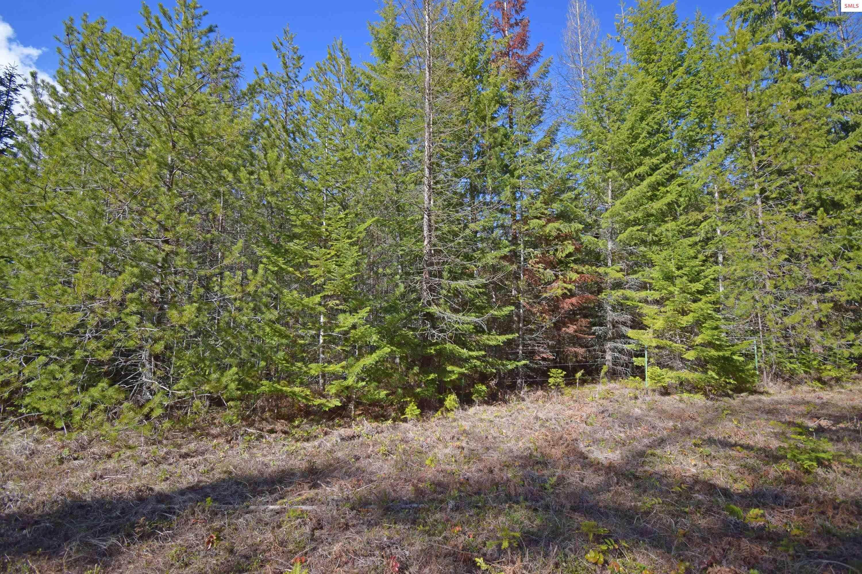 6. Land for Sale at NNA Shady Glade Road Bonners Ferry, Idaho 83805 United States