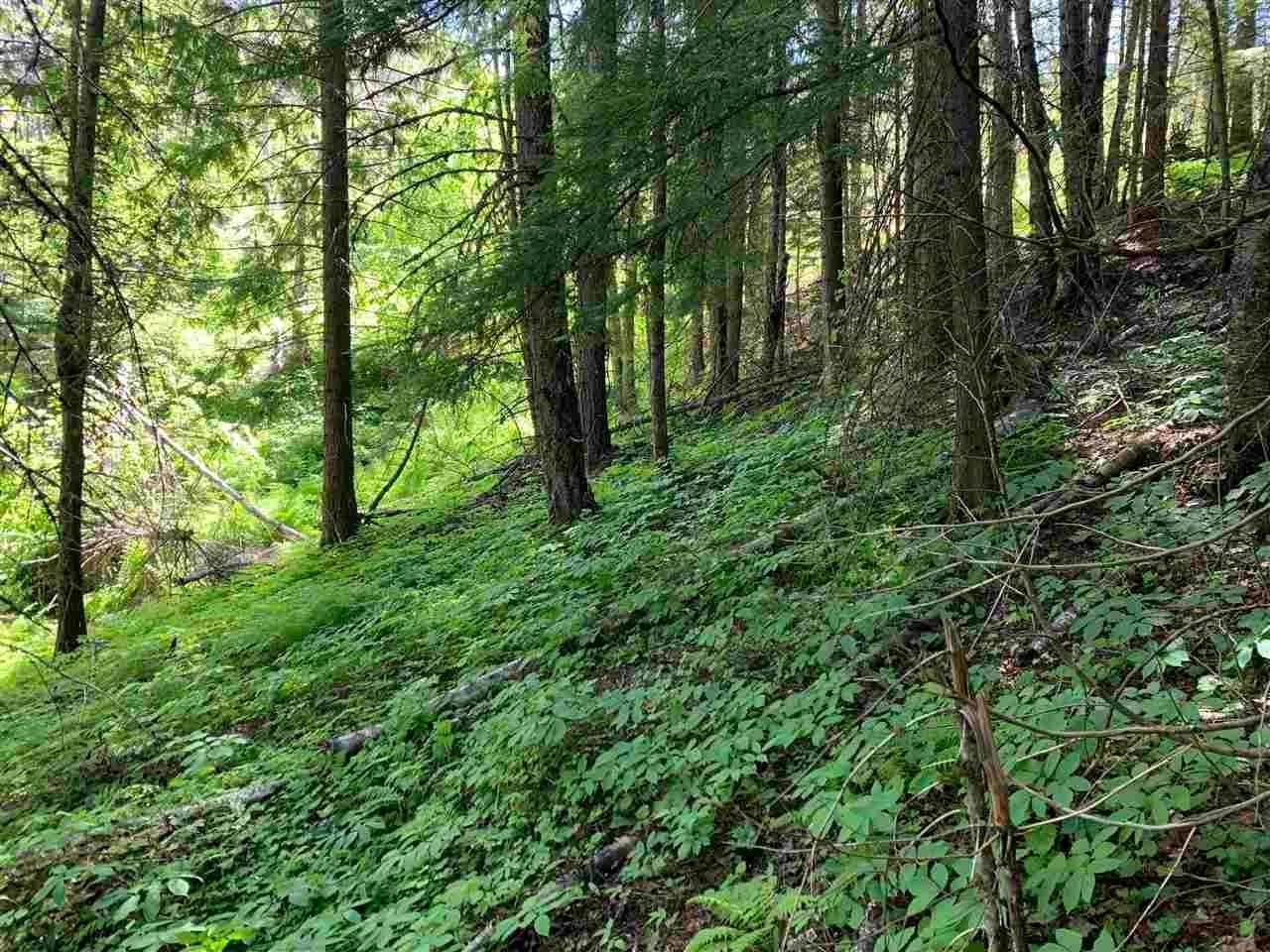 6. Land for Sale at NNA Pup Paw Trail Priest River, Idaho 83856 United States