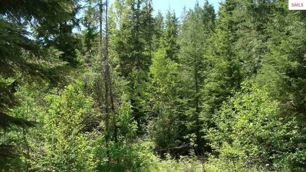 1. Land for Sale at 40 Ac Mosquito Creek Road Clark Fork, Idaho 83811 United States