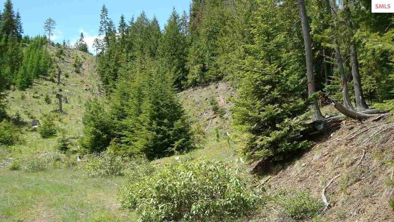 16. Land for Sale at 40 Ac Mosquito Creek Road Clark Fork, Idaho 83811 United States