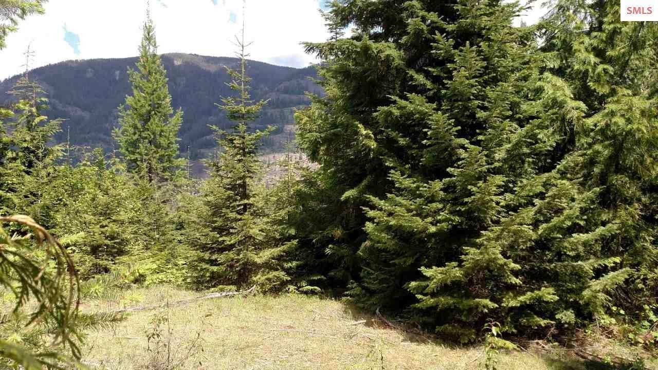 19. Land for Sale at 40 Ac Mosquito Creek Road Clark Fork, Idaho 83811 United States