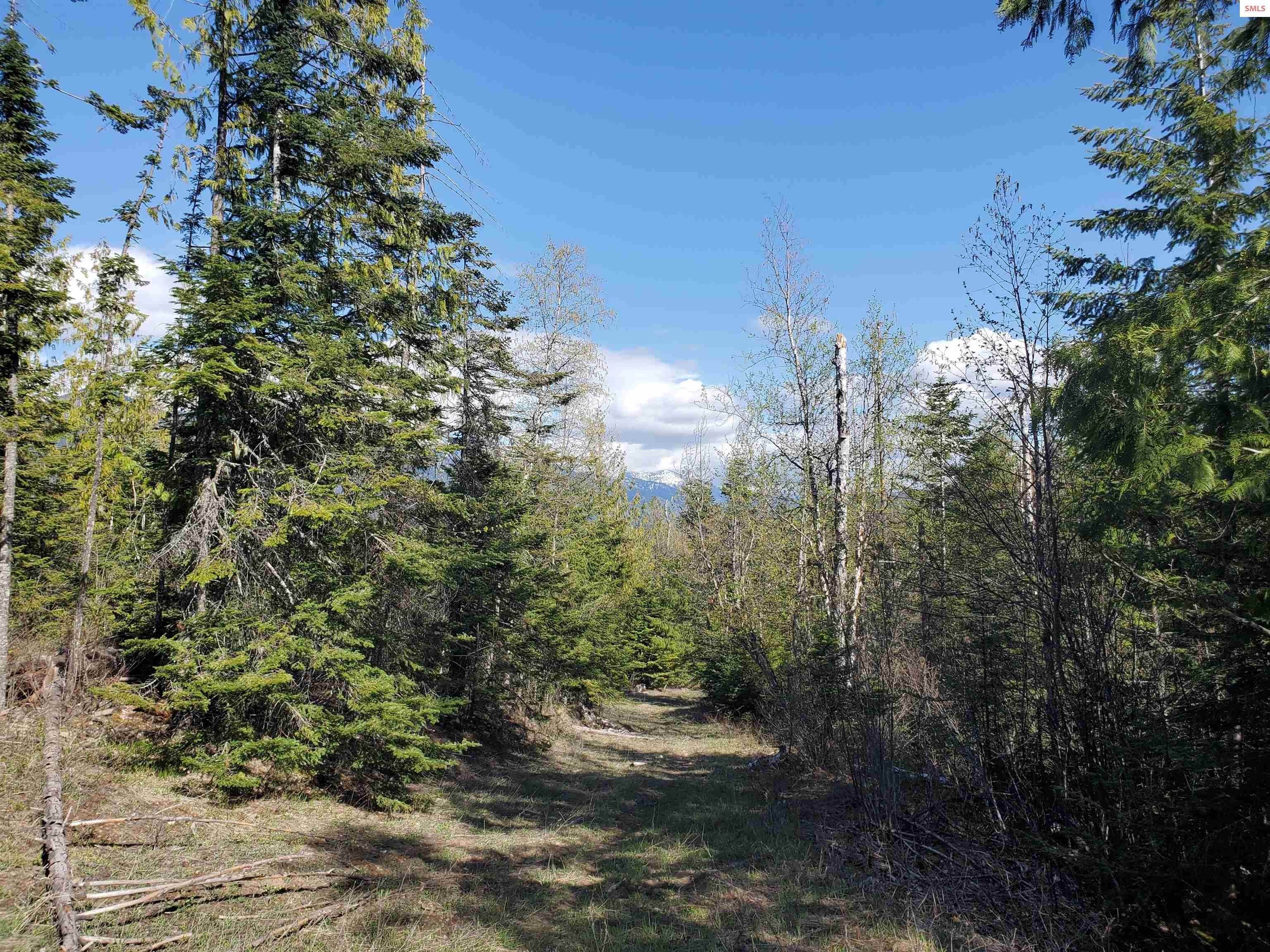 6. Land for Sale at Lot 1 Sled Run Clark Fork, Idaho 83811 United States