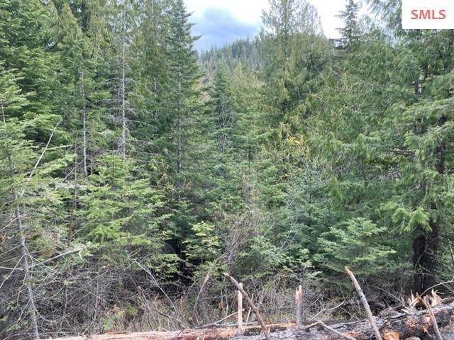 3. Land for Sale at NNA S23 White Cloud Drive Sandpoint, Idaho 83864 United States