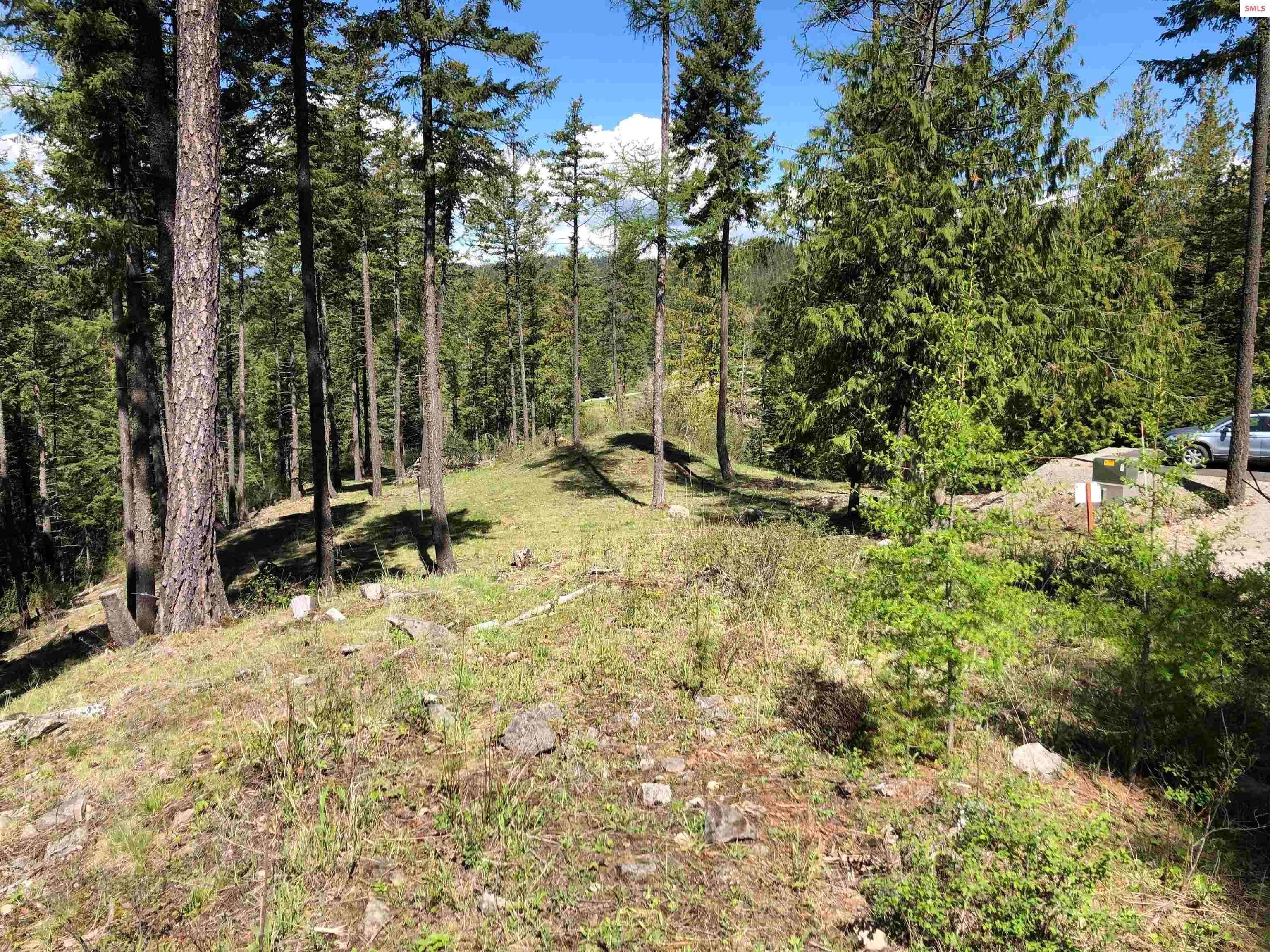 2. Land for Sale at Lot B 10 Wildflower Way Sandpoint, Idaho 83864 United States