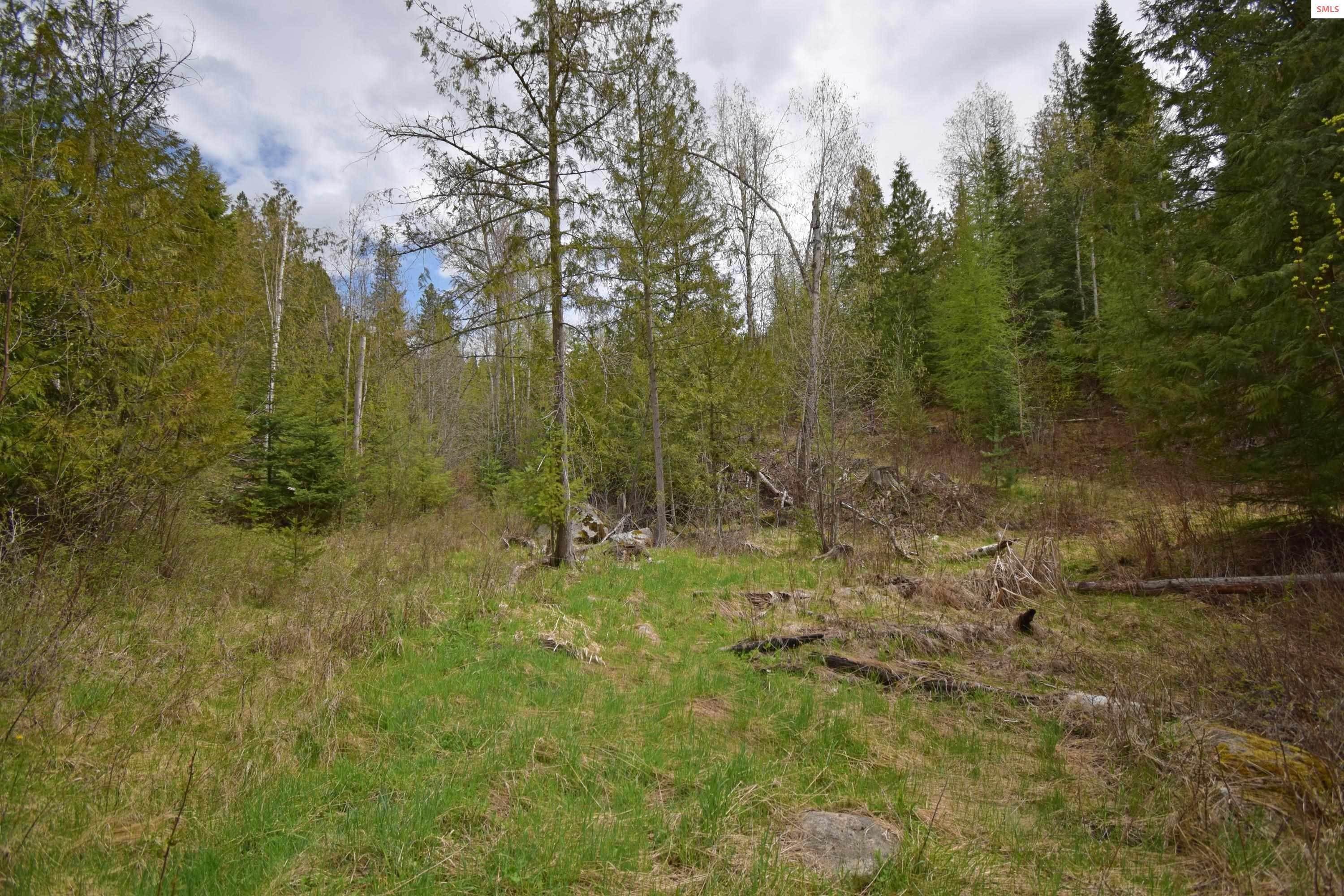 12. Land for Sale at NNA Cliffside Road Bonners Ferry, Idaho 83805 United States