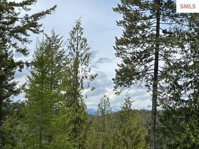 Land for Sale at NNA C37 White Cloud Drive Sandpoint, Idaho 83864 United States