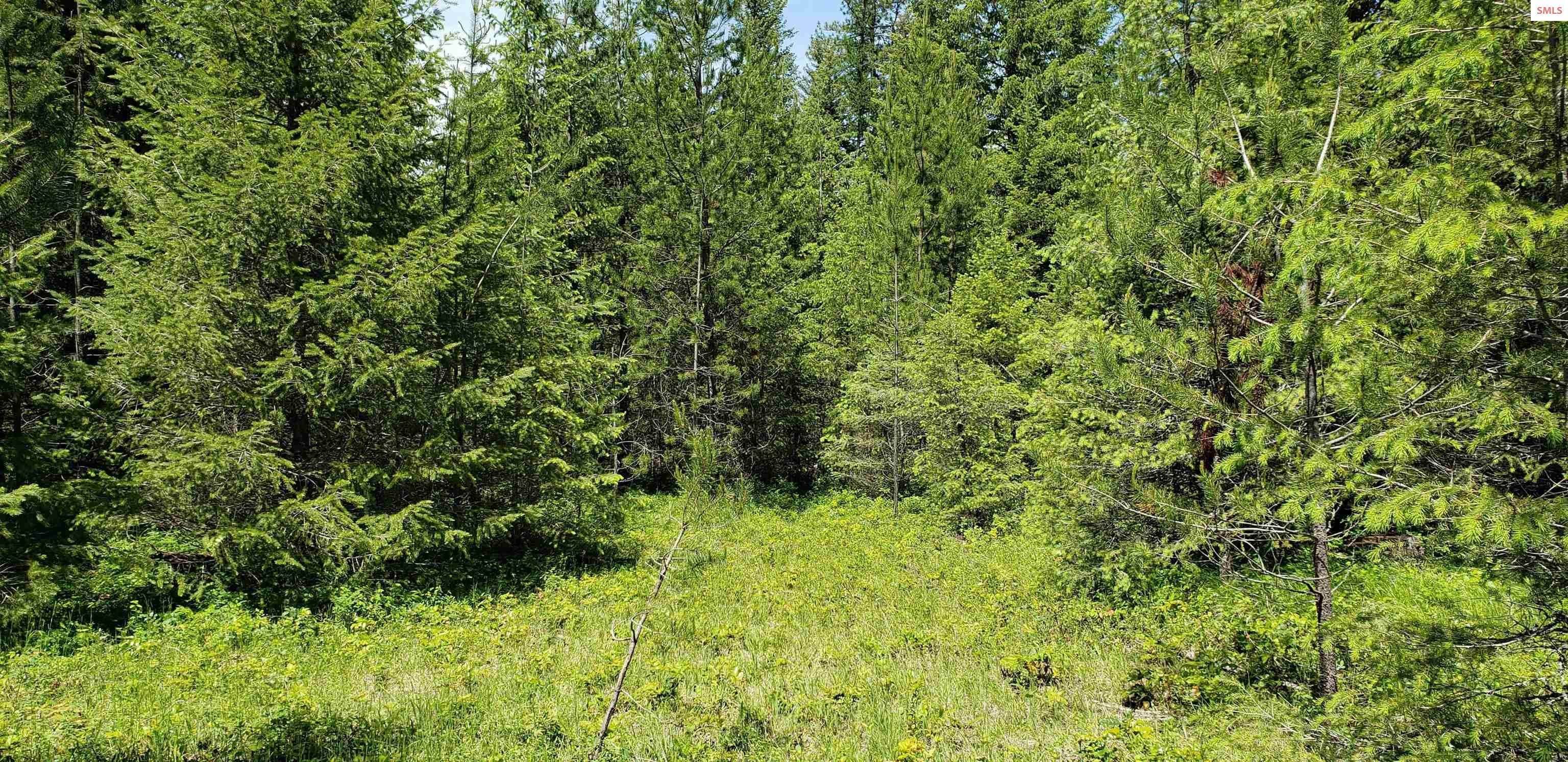 7. Land for Sale at NKA Paradox Road Priest River, Idaho 83856 United States