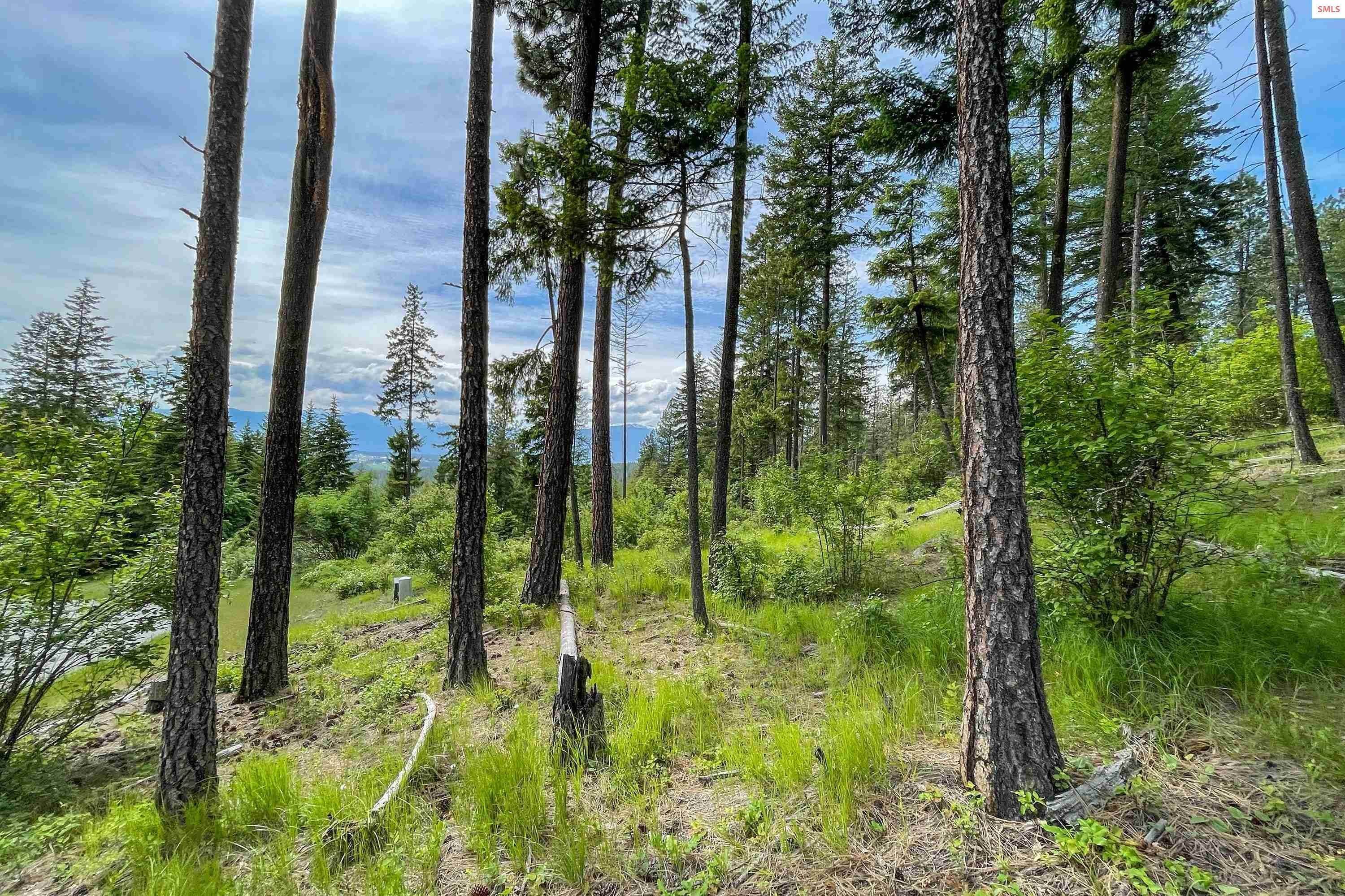 3. Land for Sale at Lot 22 & Lot 23 Pintail Bonners Ferry, Idaho 83805 United States