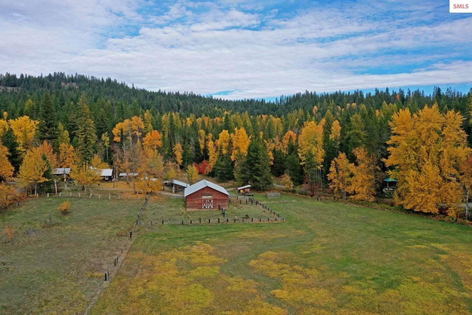 9. Single Family Homes for Sale at 847 Willford Road Cocolalla, Idaho 83813 United States